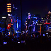 группа "ЗВЕРИ" фото 109