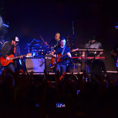 группа "ЗВЕРИ" фото 135