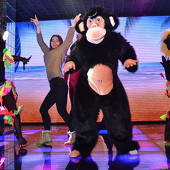 ЛАВКА ЧУДЕС фото 73