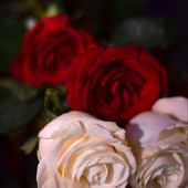 FREAKY LIKE ME фото 78