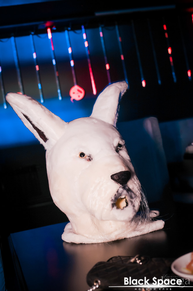 Фотография с Танцевальный Хеллоуин марафон в Блек спейс