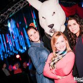 Танцевальный Хеллоуин марафон фото 84