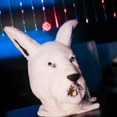 Танцевальный Хеллоуин марафон фото 40