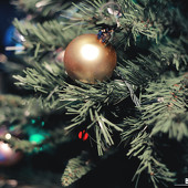  Главная ночь в году! фото 82