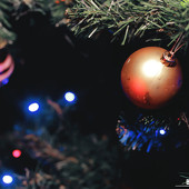  Главная ночь в году! фото 33