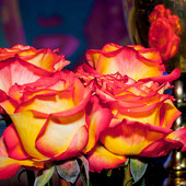 2 года Dfm фото 46