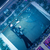 Новогодняя ночь.Часть 1 фото 41