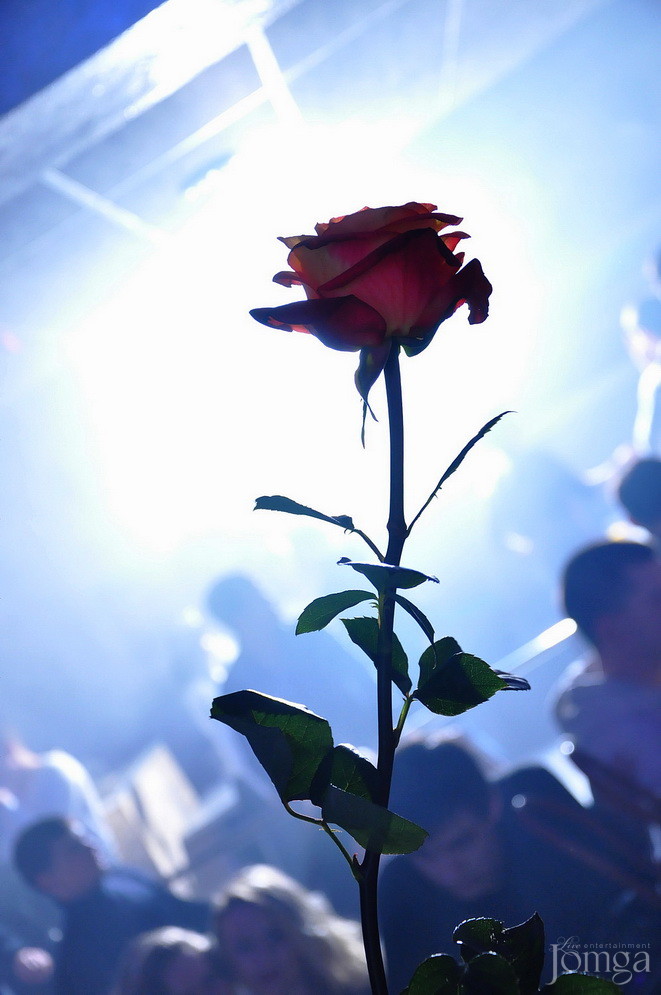 Фотография с Dance WeekEnd в Пятерочка