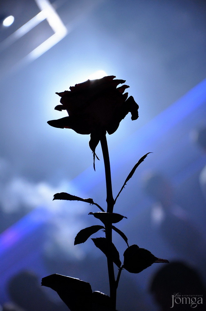 Фотография с Dance WeekEnd в Пятерочка