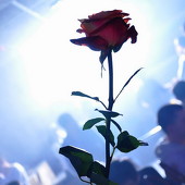 Dance WeekEnd фото 101