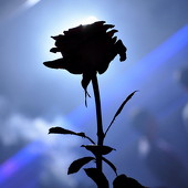 Dance WeekEnd фото 103