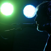 гр. "Листья травы" фото 45