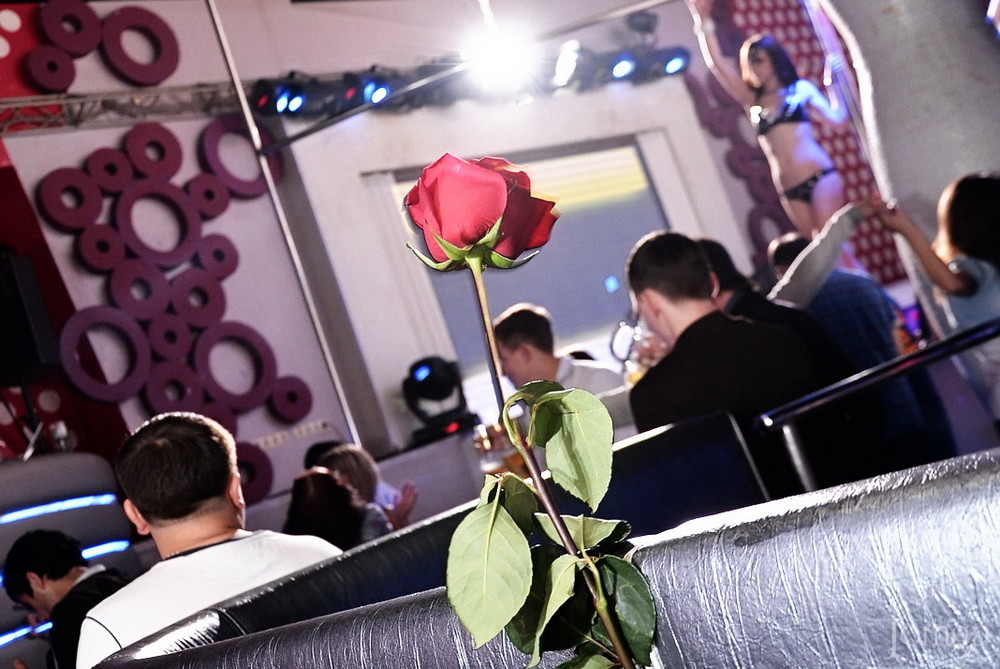 Фотография с Vanitto Night Vol. 6 Birthday Edition в Пятерочка