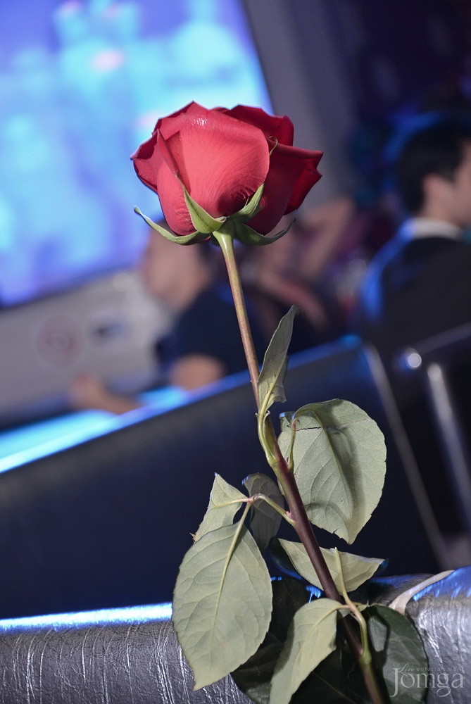 Фотография с Vanitto Night Vol. 6 Birthday Edition в Пятерочка