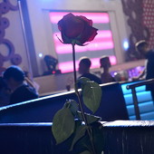 Vanitto Night Vol. 6 Birthday Edition фото 146