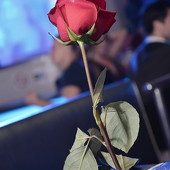 Vanitto Night Vol. 6 Birthday Edition фото 142