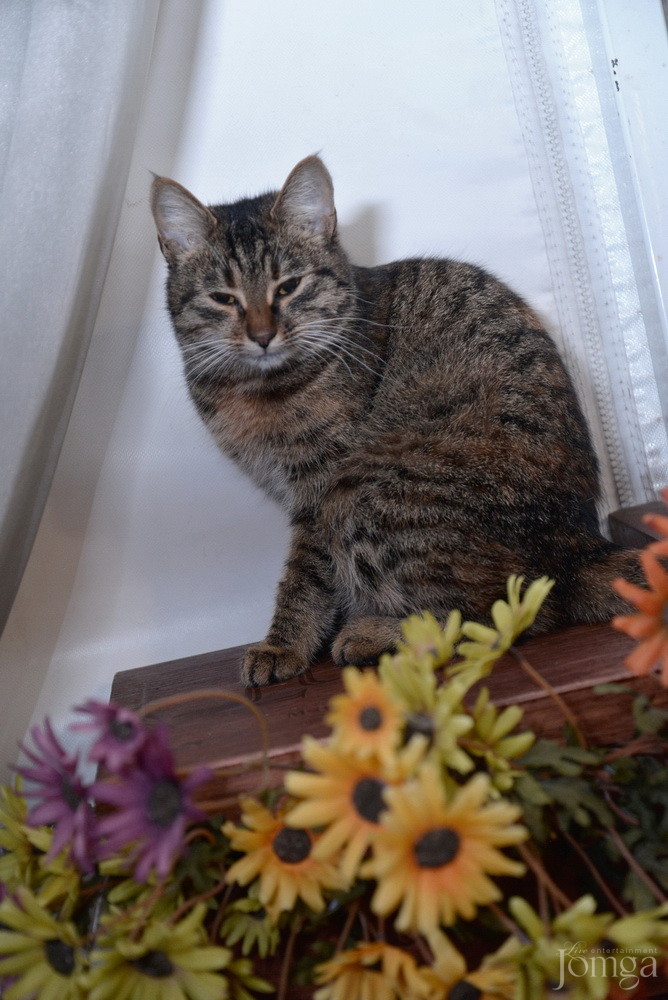 Фотография с VIP: B-DAY Хирург в Пятерочка