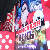 НОВОГОДНЯЯ НОЧЬ 2015 фото 34