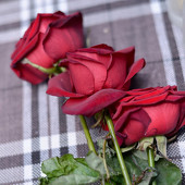 AFTERPARTY фото 36