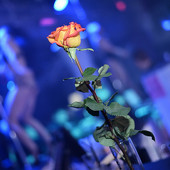 PENTHOUSE фото 40