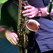 SAXODIZIAK фото 45