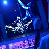 Гадкий кайот фото 33