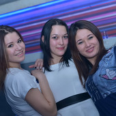 Гадкий койот фото 41