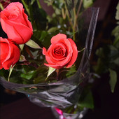 28.08.2015 фото 145