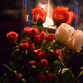 28.08.2015 фото 85