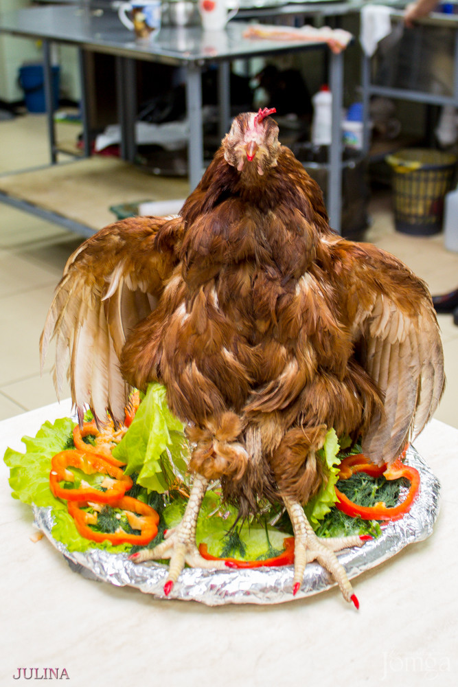 Фотография с Вечер в Дубай в Дубай