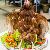 Вечер в Дубай фото 47