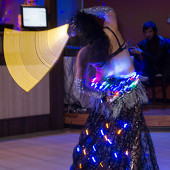 Вечер в Дубай фото 87