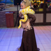 День пивных животиков фото 86