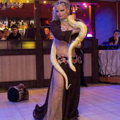 День пивных животиков фото 79