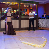 День пивных животиков фото 76