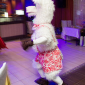 Новый год к нам мчится фото 89