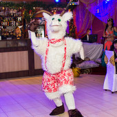 Восточная феерия фото 33