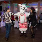 Восточная феерия фото 43