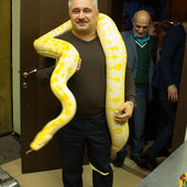 Восточные сказки фото 106