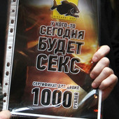 День Св. Сандры фото 169