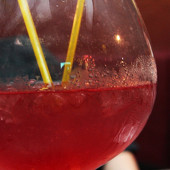 День Св. Сандры фото 124