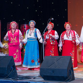 XXII Фестиваль национальных культур «Доброе братство – лучшее богатство» фото 172