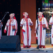 XXII Фестиваль национальных культур «Доброе братство – лучшее богатство» фото 108