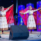 XXII Фестиваль национальных культур «Доброе братство – лучшее богатство» фото 263