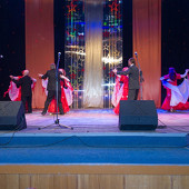 XXII Фестиваль национальных культур «Доброе братство – лучшее богатство» фото 161