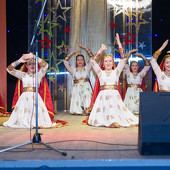 XXII Фестиваль национальных культур «Доброе братство – лучшее богатство» фото 270