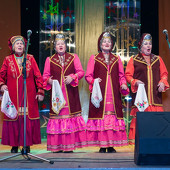 XXII Фестиваль национальных культур «Доброе братство – лучшее богатство» фото 115