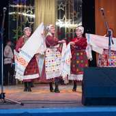 XXII Фестиваль национальных культур «Доброе братство – лучшее богатство» фото 79