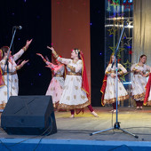 XXII Фестиваль национальных культур «Доброе братство – лучшее богатство» фото 275