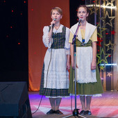 XXII Фестиваль национальных культур «Доброе братство – лучшее богатство» фото 180